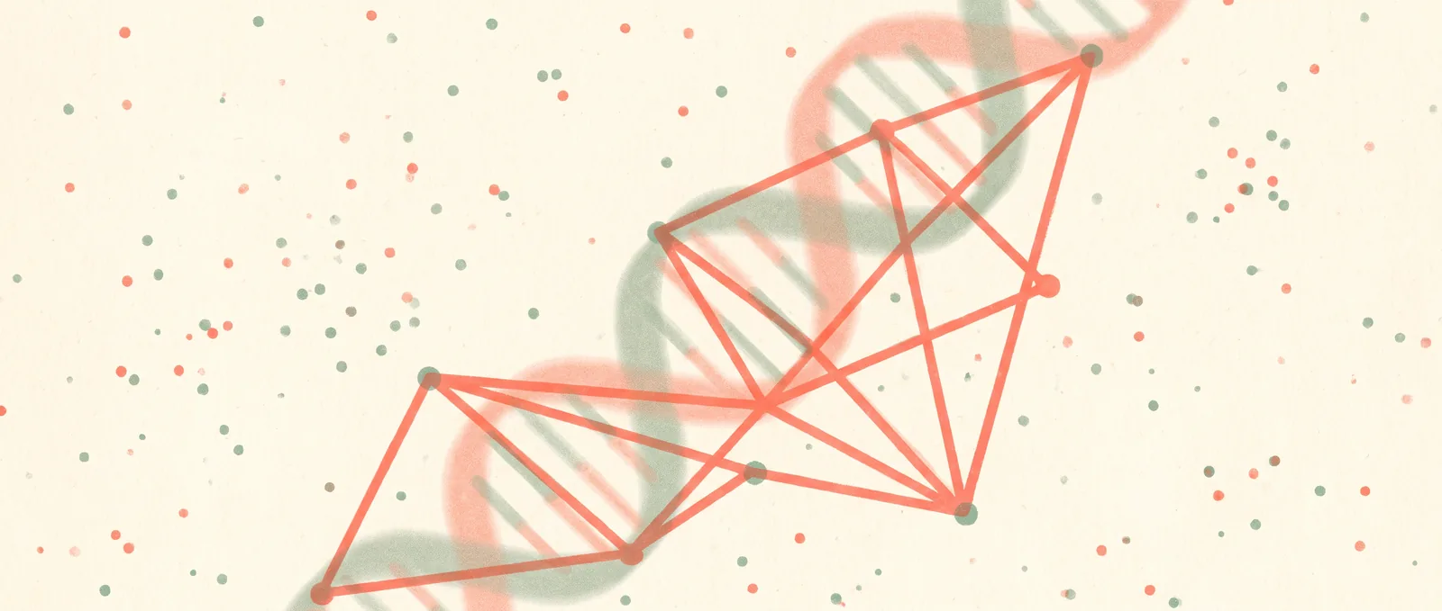 Illustrazione in risografia di centinaia di punti isolati sparsi, alcuni improvvisamente uniti da linee color corallo che rivelano un motivo comune, con un tenue nastro a elica sullo sfondo