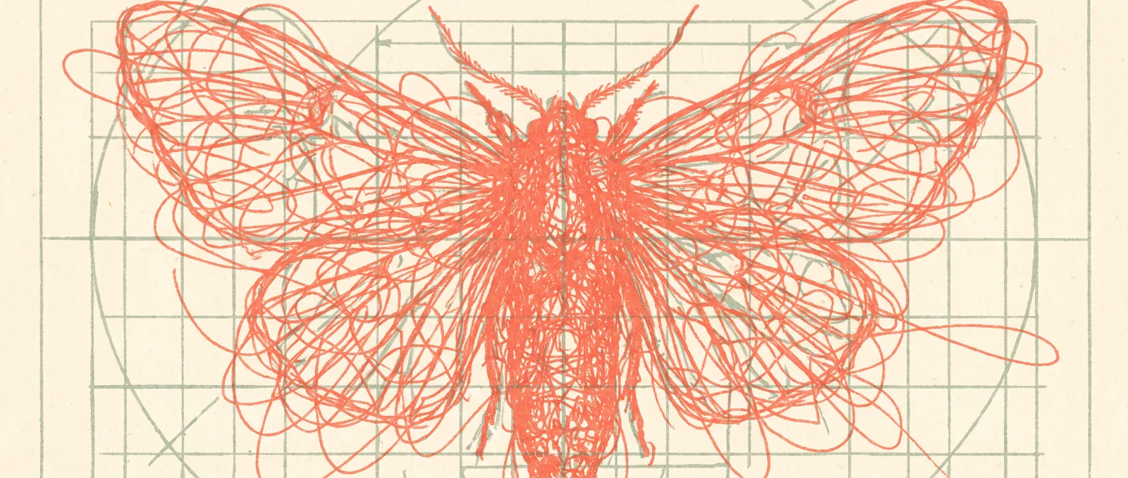 Ein dichtes Gewirr aus nachgezeichneten Fäden, die auf Rasterpapier den Umriss eines kleinen geflügelten Insekts bilden